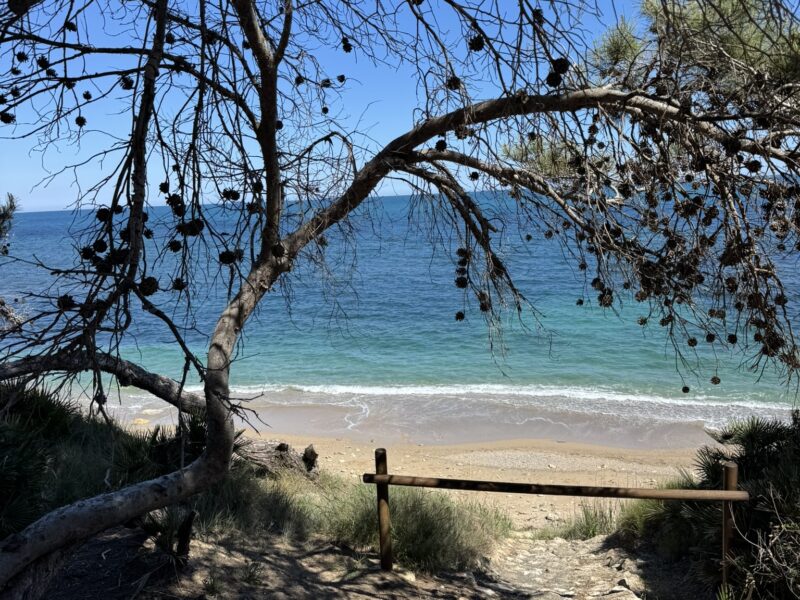 Soulmagie Retreat in der Natur| 3-7 Juni 26| Yoga, Meditation, Kakaoreisen & Soulportrait