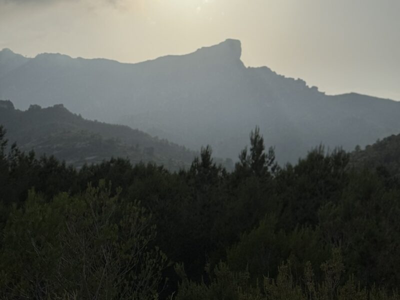 Soulmagie Retreat in der Natur| 3-7 Juni 26| Yoga, Meditation, Kakaoreisen & Soulportrait