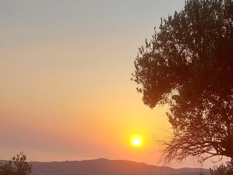 Wer bin ICH WIRKLICH, wenn ICH BIN - eine Reise zu DIR SELBST