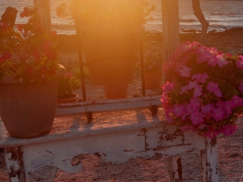 Wer bin ICH WIRKLICH, wenn ICH BIN - eine Reise zu DIR SELBST