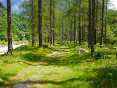 WILD. KLAR. KRAFTVOLL. - BewusstSeinsTage im Verzascatal