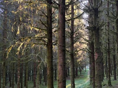 ALLES IST BEREITS IN DIR - BewusstSeinsTage im Elsass