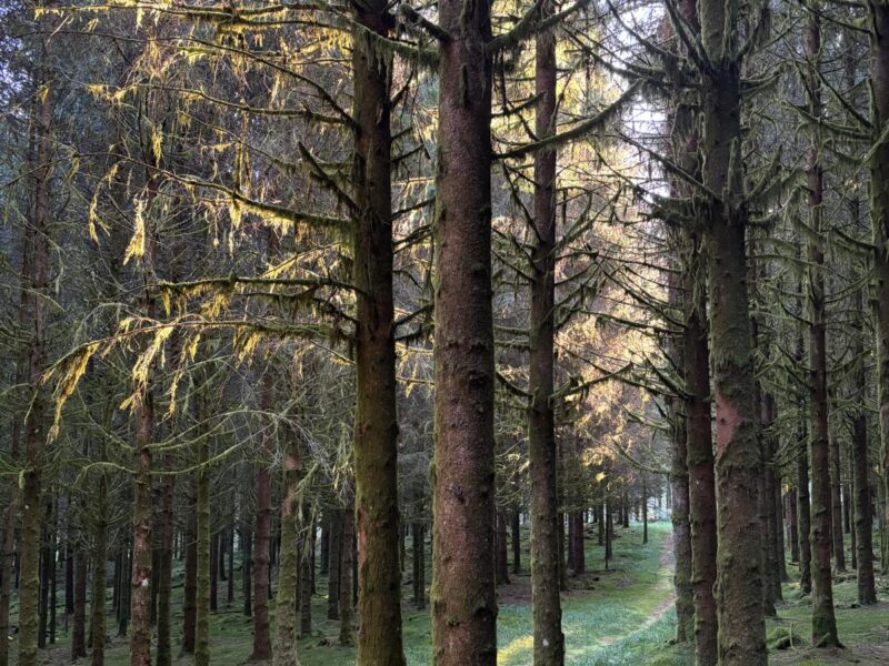 ALLES IST BEREITS IN DIR - BewusstSeinsTage im Elsass