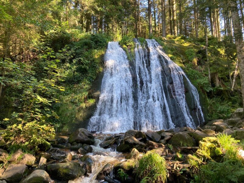 ALLES IST BEREITS IN DIR - BewusstSeinsTage im Elsass
