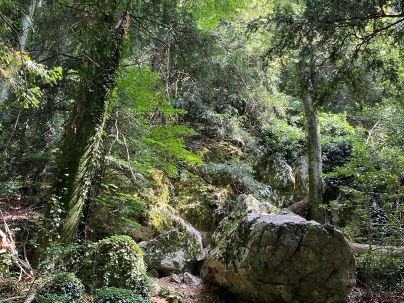 Auf den Spuren erwachter Weiblichkeit - Frauenretreat in Südfrankreich vom 06.-13.06.2026