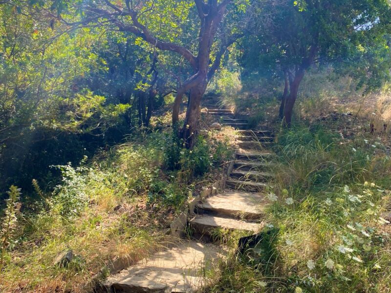 Auf den Spuren erwachter Weiblichkeit - Frauenretreat in Südfrankreich vom 06.-13.06.2026