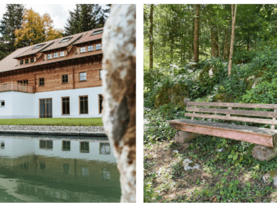 AlmSeele - zurück in deine Urkraft