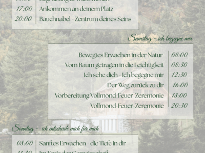AlmSeele - zurück in deine Urkraft
