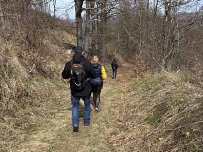 Begleitetes Fasten & Detox-Auszeit im Harz - Bewusste Regeneration für Körper und Geist