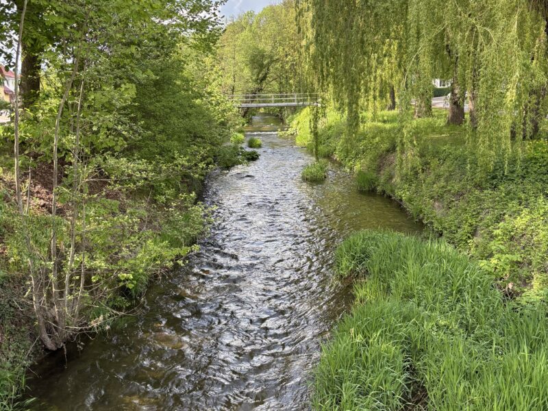 Begleitetes Fasten & Detox-Auszeit im Harz - Bewusste Regeneration für Körper und Geist
