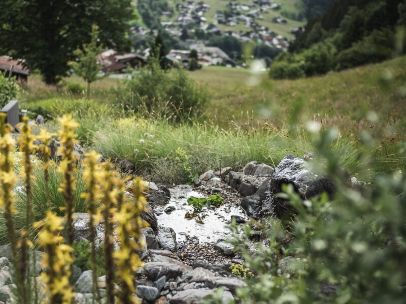 Detox und Wasserfasten Retreat in Österreich – Zeit für Regeneration und neue Energie