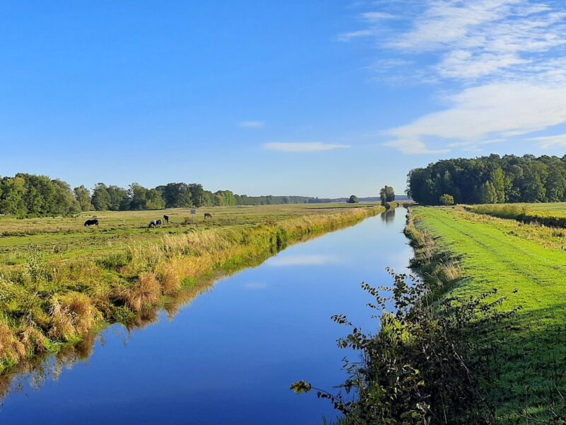 Solo-Retreat in der Weite Mecklenburgs - Deine Zeit im Wesentlichen