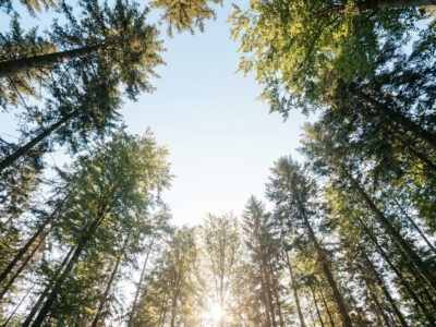ANALOGE INTELLIGENZ® ist ein Leadership Retreat für Führungskräfte, die nicht mehr nur funktionieren, sondern wieder klar, authentisch und wirksam führen wollen. Drei Tage radikal spüren. Drei Tage Klarheit gewinnen.