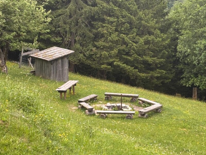 Analoge Intelligenz® – Leadership Retreat für Führungskräfte | 3 Tage radikales Spüren