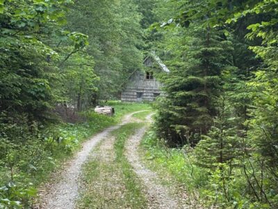 Analoge Intelligenz® – Leadership Retreat für Führungskräfte | 3 Tage radikales Spüren