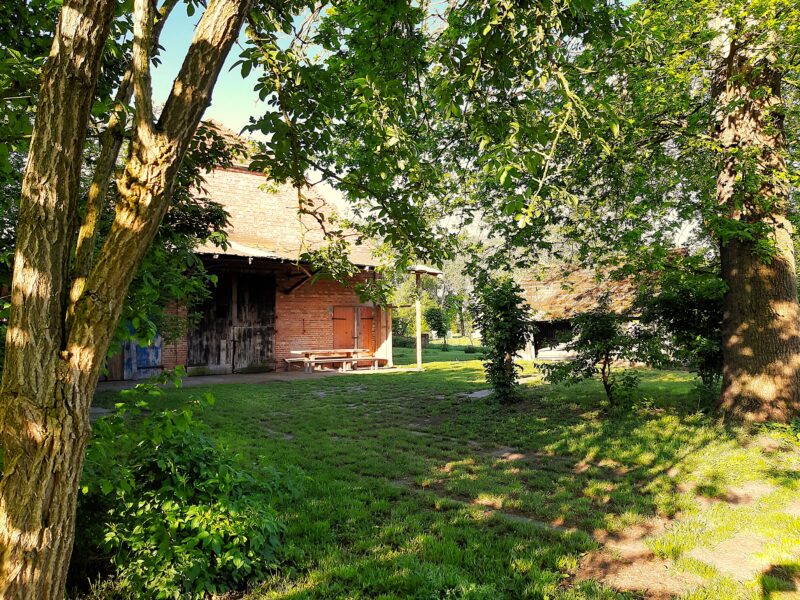 Solo-Retreat in der Weite Mecklenburgs - Deine Zeit im Wesentlichen
