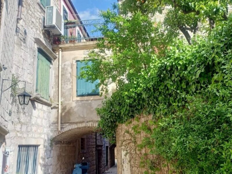 Zeit, die dir gehört – Retreat auf Hvar - Human Design