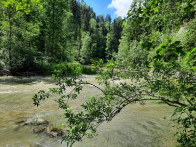 Nähre deine wilde Seele in der Stille des Herbstes. Auszeit im Allgäu: Natur erleben & innere Einkehr