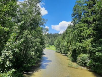 Nähre deine wilde Seele in der Stille des Herbstes. Auszeit im Allgäu: Natur erleben & innere Einkehr