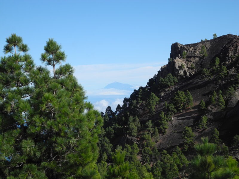 La Palma – Genuss-Wandern & Augen-Stärken