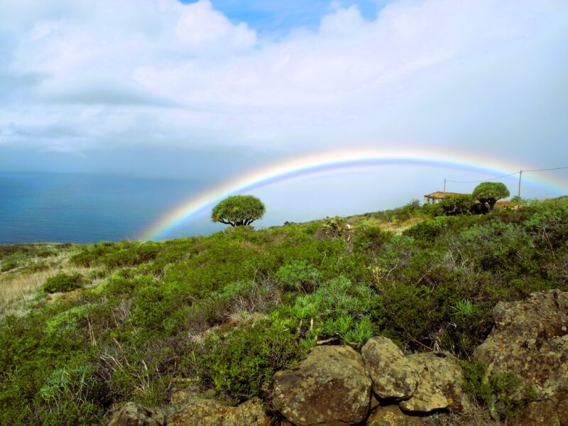 La Palma – Genuss-Wandern & Augen-Stärken