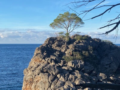 Mediterranes Wasserfasten Retreat auf Mallorca - Leichtigkeit & Loslassen