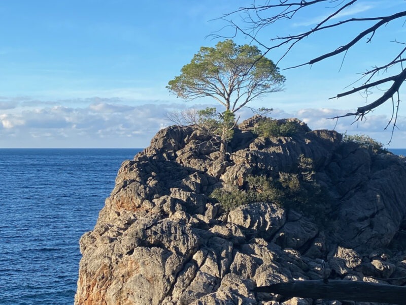 Mediterranes Wasserfasten Retreat auf Mallorca - Leichtigkeit & Loslassen